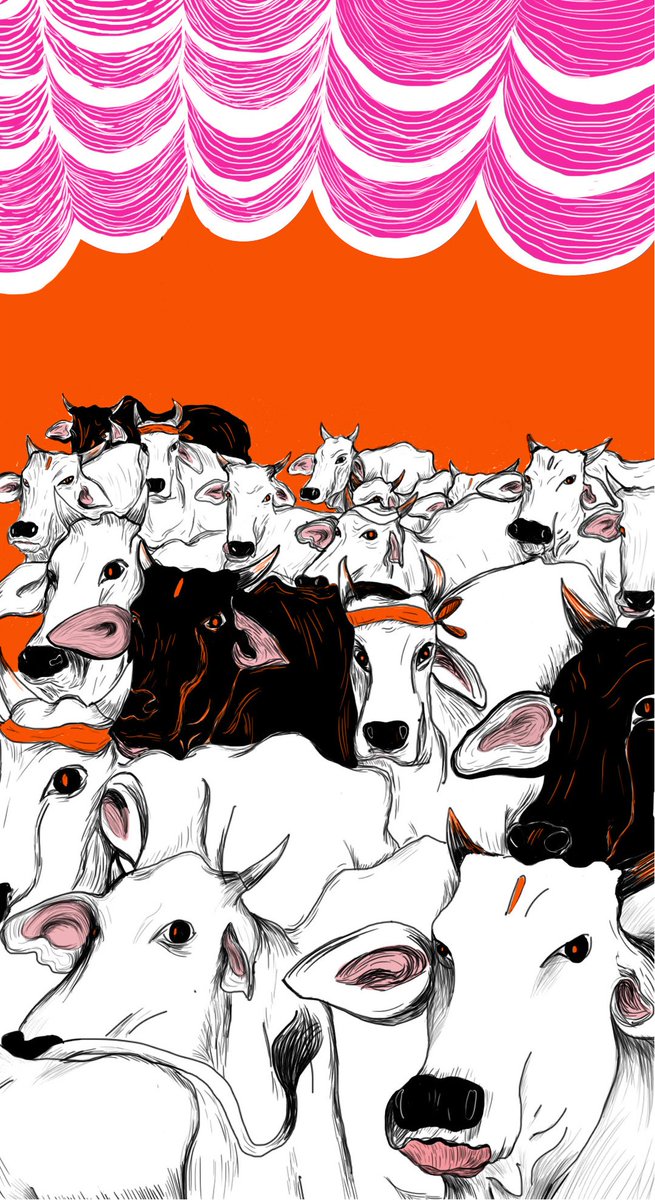 It saw the participation of national leaders such as Prabhavathi Raje who was the President of the All India Ramarajya council and Swamy Adidevananda, President of the Ramakrishna Mission. A 'cow march' was part of the the Cow Weekly (illustration by  @srujangatha to depict this)