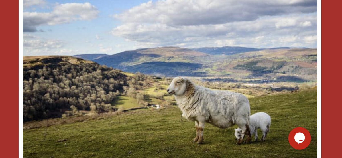 ScancomingUK tweet media