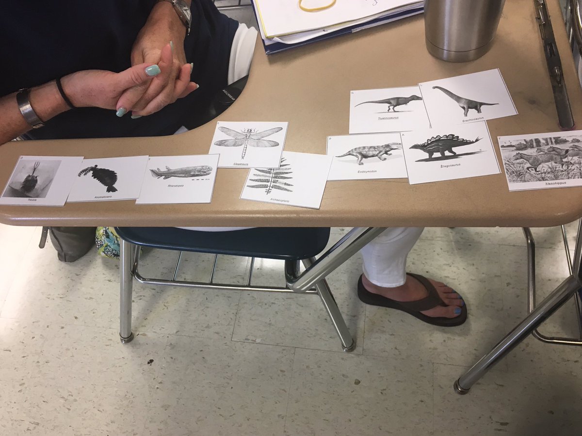 erica_d_allen's tweet image. Making sense with @AugustAskins at KCS PD   @KCSScience #kcsscience2020