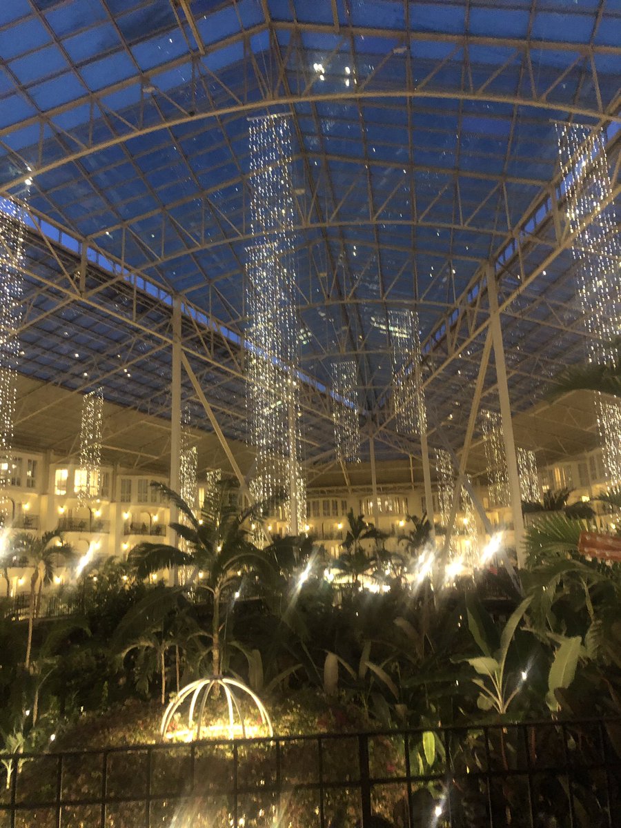 lorena wiley tweet media