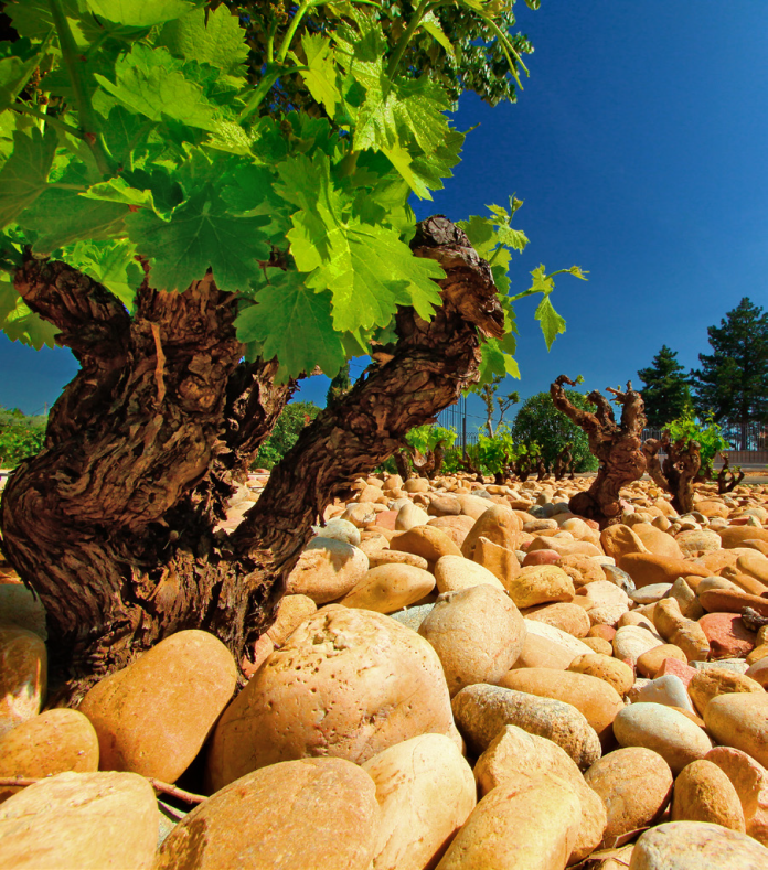 Châteauneuf-du-Pape, à vélo ou en 2CV ?

👉 mybettanedesseauve.fr/2019/07/30/cha…

#oenotourisme <a href="/MaisonOgier/">Maison Ogier</a> #valleeduRhone
