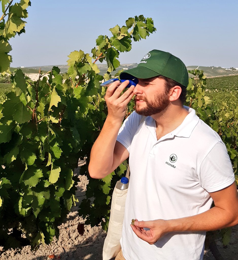 Fernando López de Arce tweet media