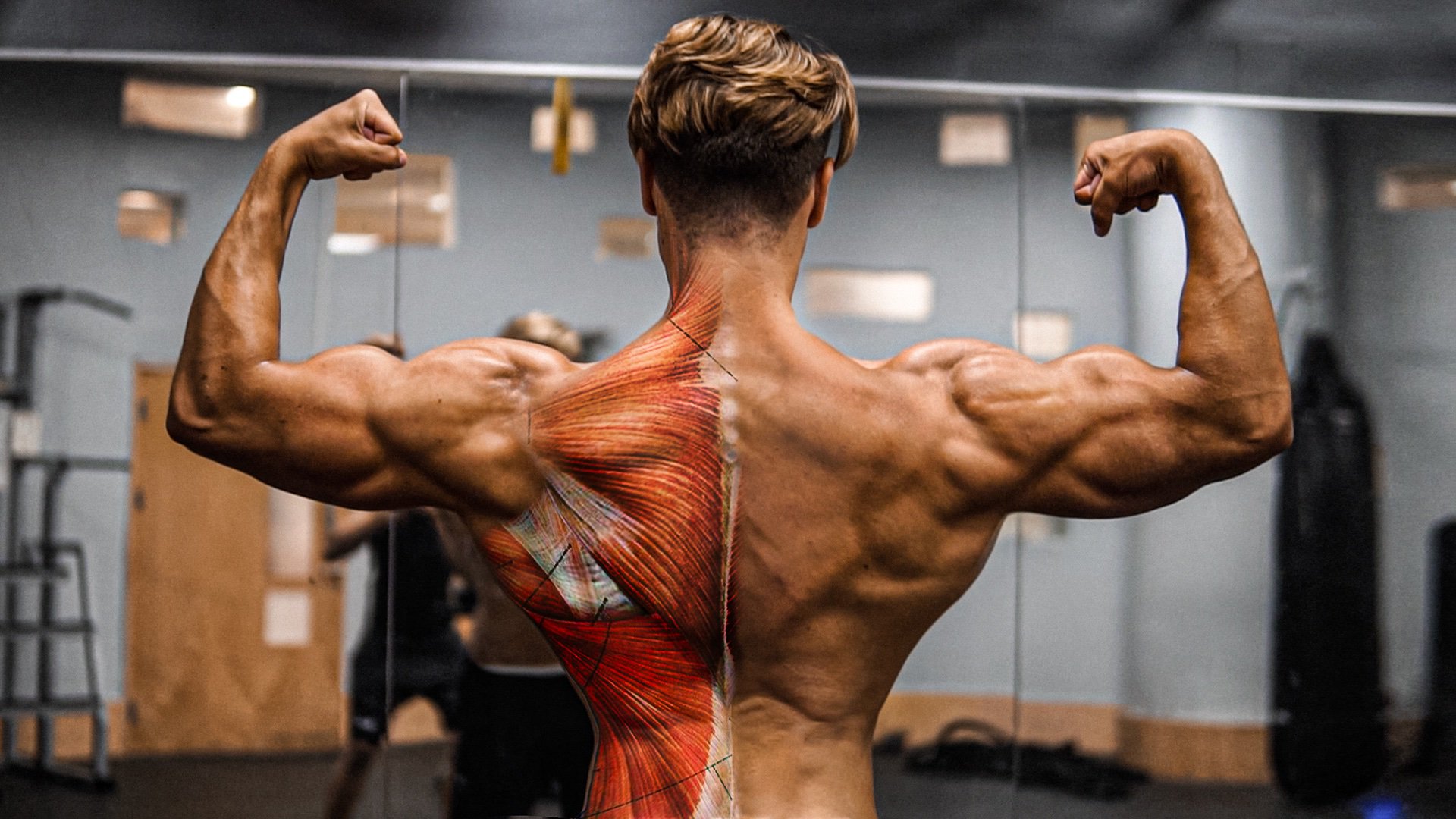 Dekel Kabeli on X: just posted an INSANE V shape back workout on !!    / X