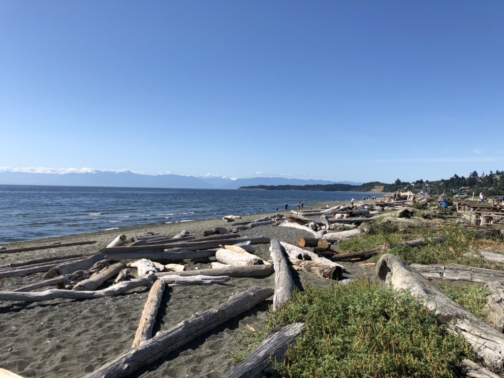 noonenofyb's tweet image. #beatifulBC #vancouverisland