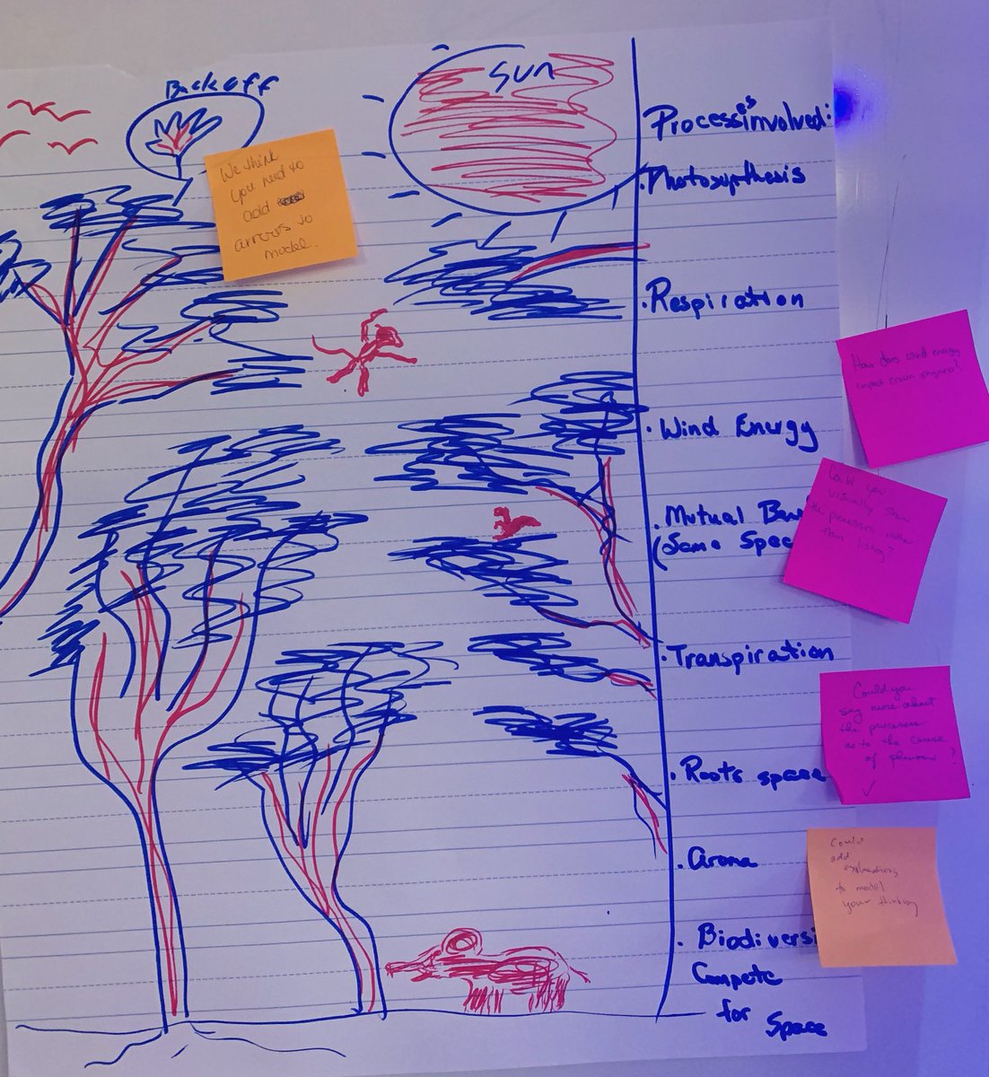 TheChemistryFox's tweet image. Great examples of the modeling from KCS teachers based on the “crown shyness” phenomenon in the “Making Thinking Visible Through Learning” session today.

Revision of models was important &amp;amp; it followed scientific discussion wt defense of ideas. #KCSScience2020