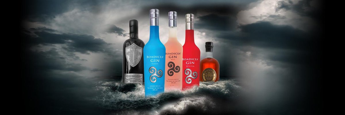 BoadiceaGin tweet media