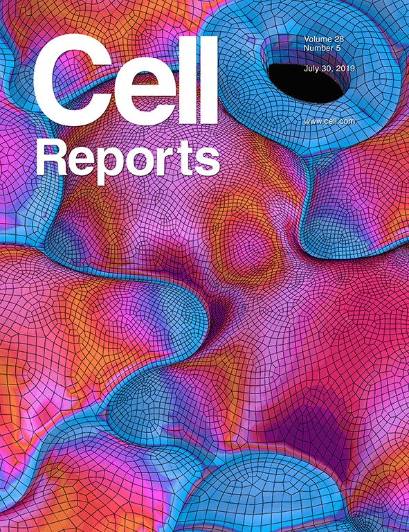 Cell biology &amp; mechanical engineering make a great combination to investigate plant cell morphogenesis.

#plantscience #plantbiomechanics
#CellBiology
#cellwall
#plantdevelopment
secure.jbs.elsevierhealth.com/action/getShar…
