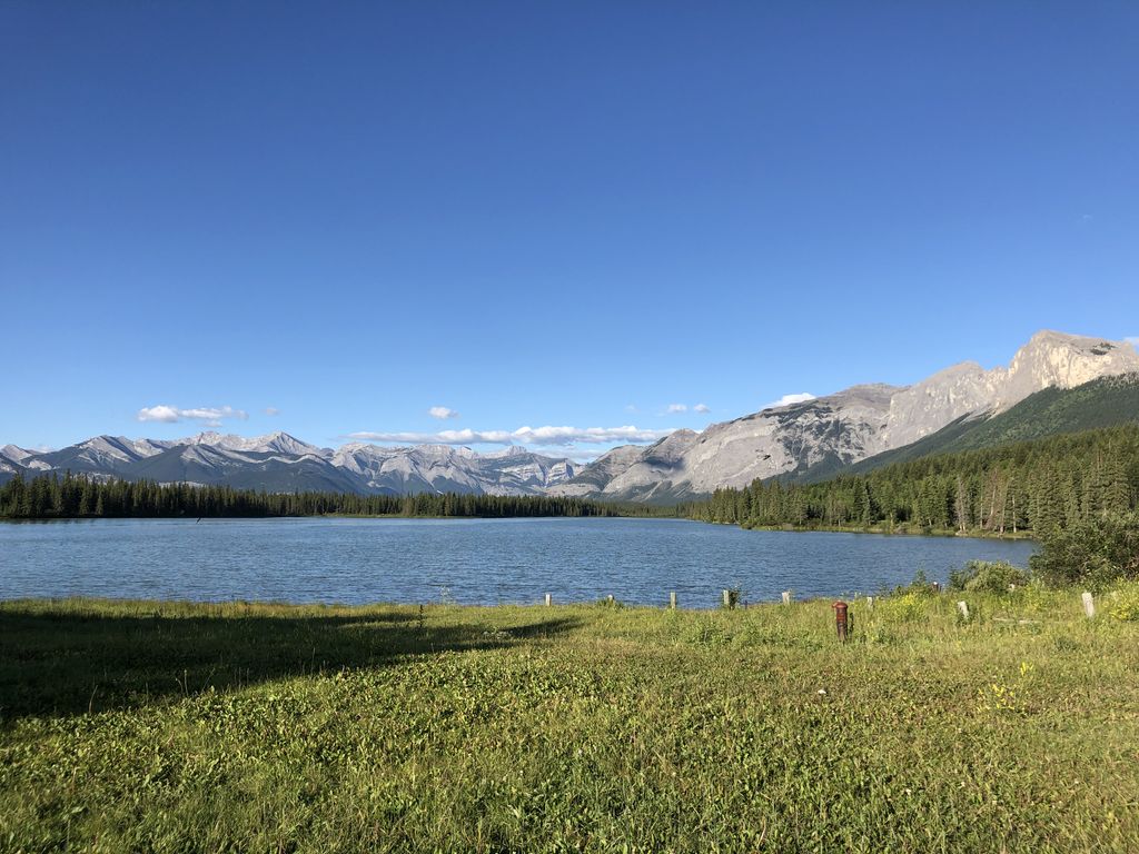 AppaloosaL's tweet photo. Beautiful Banff #alberta #explorecanada #banff #roadtrip #summertime #summertrip #nature #lakelouise #explorealberta #travelcanada #canada #banffab #greatoutdoors #getoutside #sunnydays https://t.co/ZjT507NDjj
