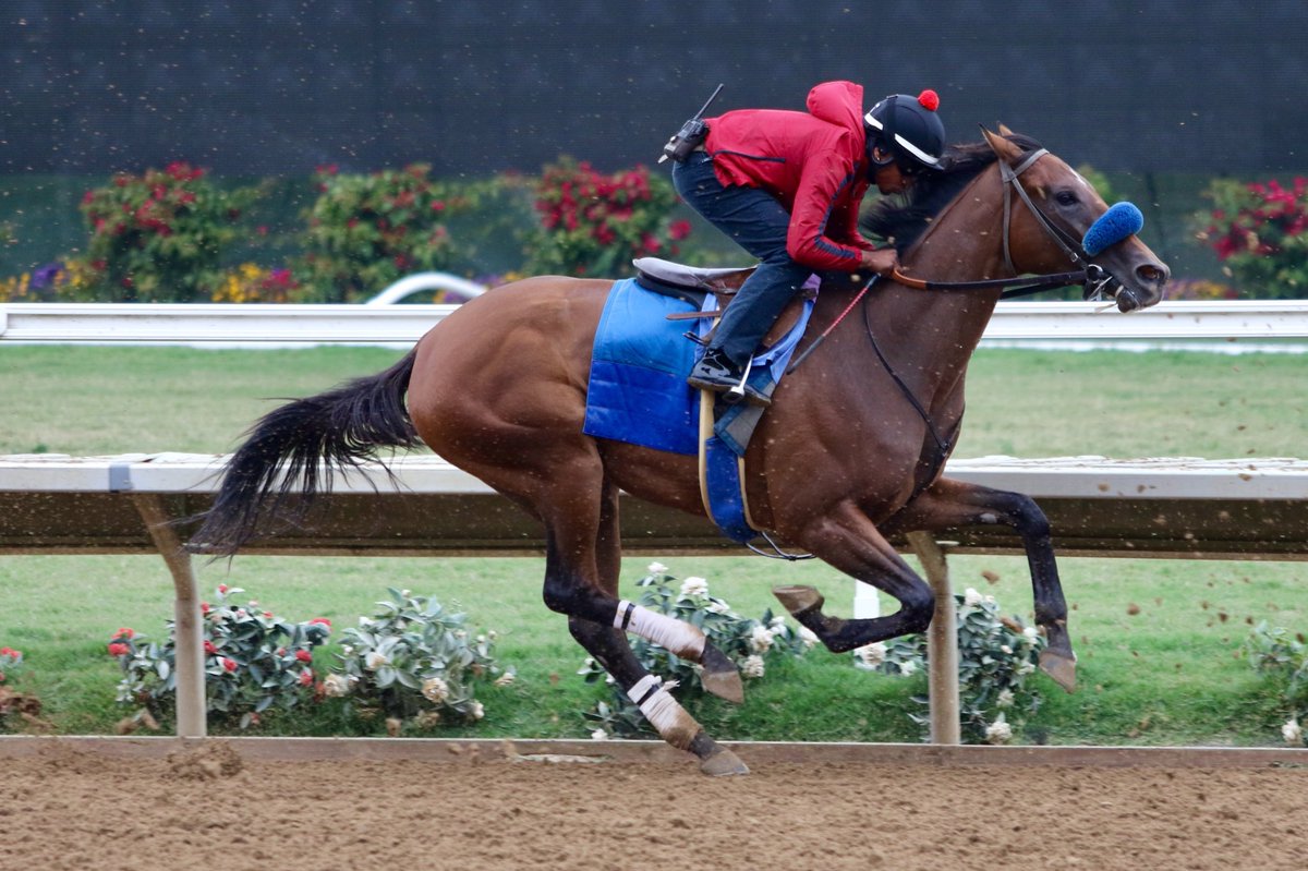 timyakteen's tweet photo. We worked a bunch yesterday (Monday) morning here at #DelMar, Camino de Estrella, Nina en Fuego, Big Time Grammy, Tidal Effect, Final Demand, Chasing Tabitha and Shake n Fries. #getemready 🌊🌞 https://t.co/CyndPaJshw