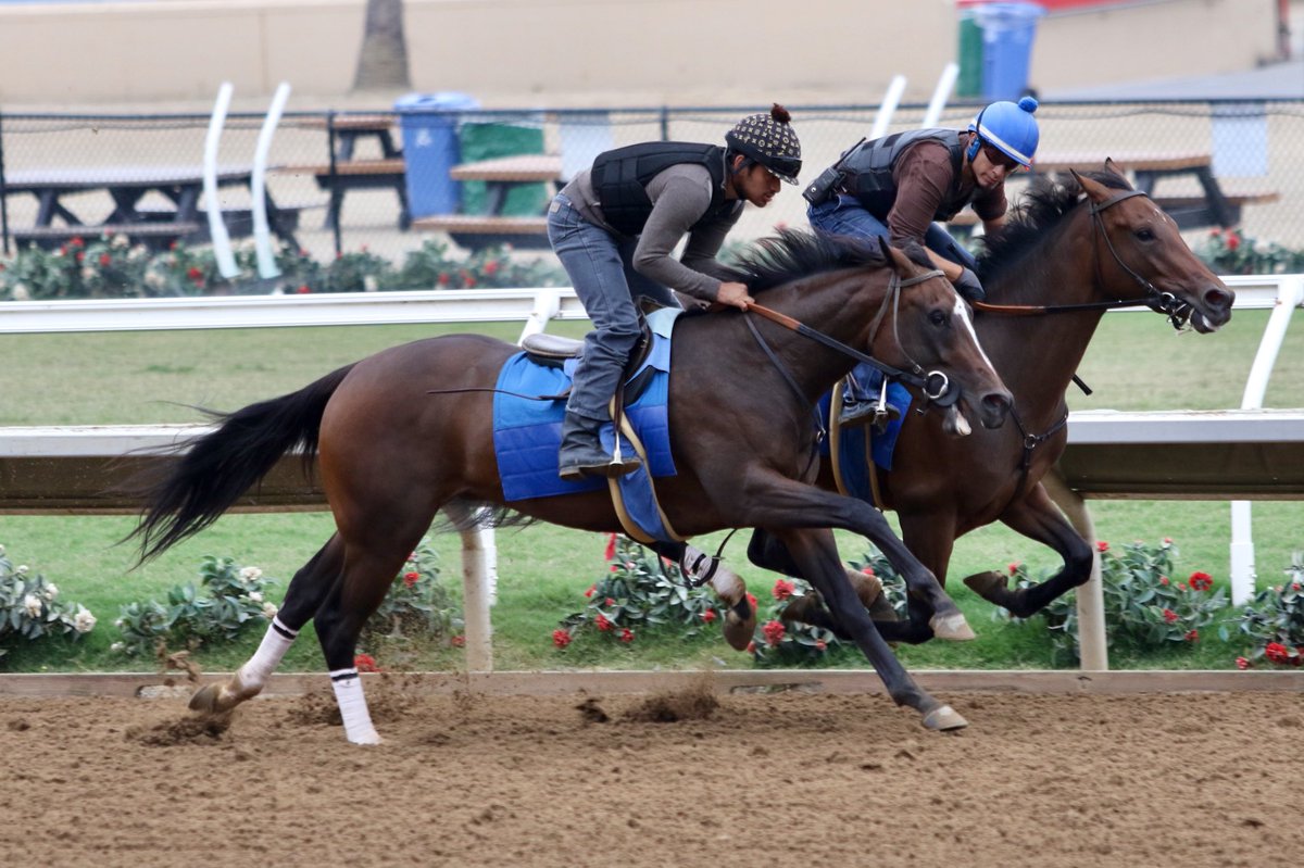 timyakteen's tweet photo. We worked a bunch yesterday (Monday) morning here at #DelMar, Camino de Estrella, Nina en Fuego, Big Time Grammy, Tidal Effect, Final Demand, Chasing Tabitha and Shake n Fries. #getemready 🌊🌞 https://t.co/CyndPaJshw