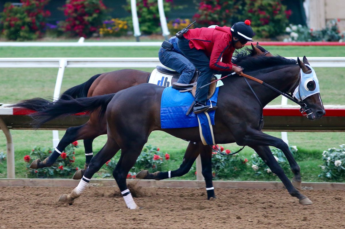 timyakteen's tweet photo. We worked a bunch yesterday (Monday) morning here at #DelMar, Camino de Estrella, Nina en Fuego, Big Time Grammy, Tidal Effect, Final Demand, Chasing Tabitha and Shake n Fries. #getemready 🌊🌞 https://t.co/CyndPaJshw