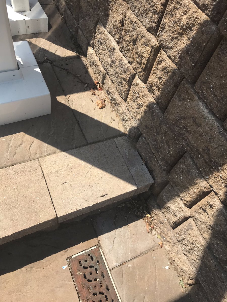 kelse7kelse's tweet image. Back at it again cleaning up leaves!  S/o Charlie #pooloftheweek @CrystalAquatics @Lovesummertime8