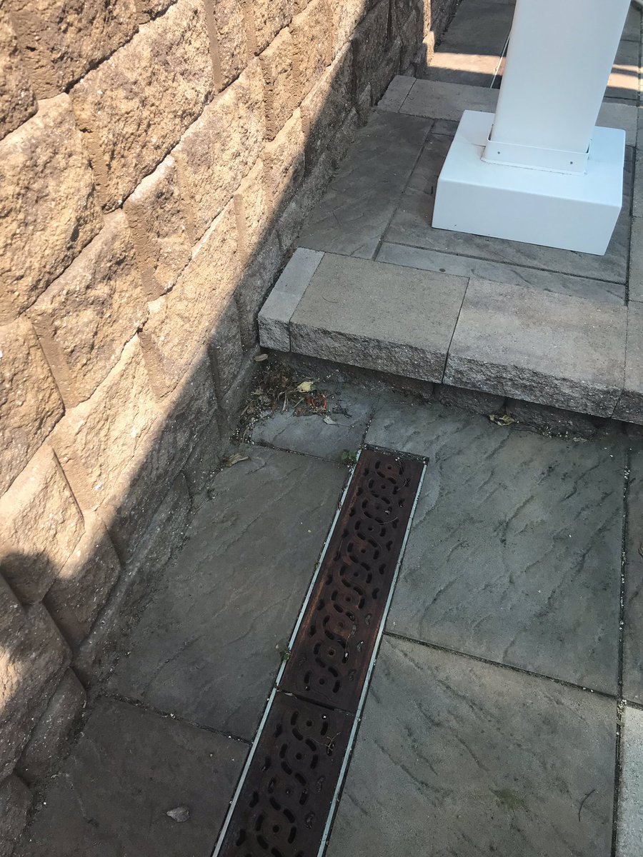 kelse7kelse's tweet image. Back at it again cleaning up leaves!  S/o Charlie #pooloftheweek @CrystalAquatics @Lovesummertime8