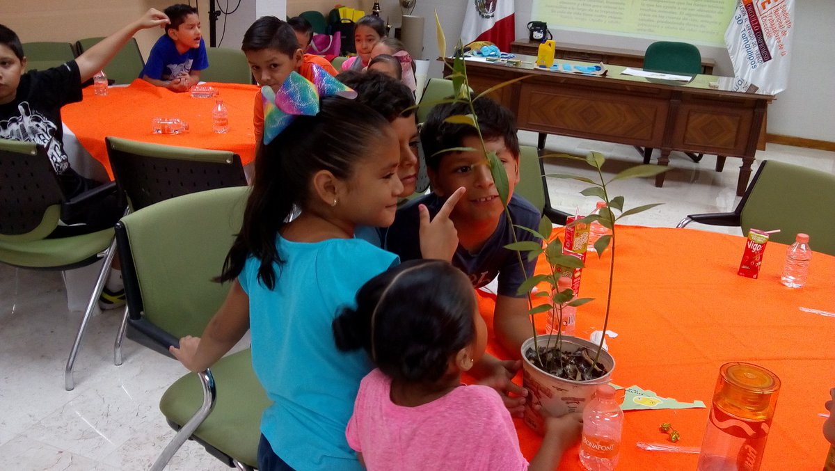 DanielR36008998's tweet photo. 🦋Iniciamos los cursos de verano del #SNTE30 con actividades de educación ambiental el tema de hoy Mariposa Monarca🦋
Soy Sección 30
SNTE EDS Nacional
#BlitzMonarca https://t.co/PcgFOhIn9o