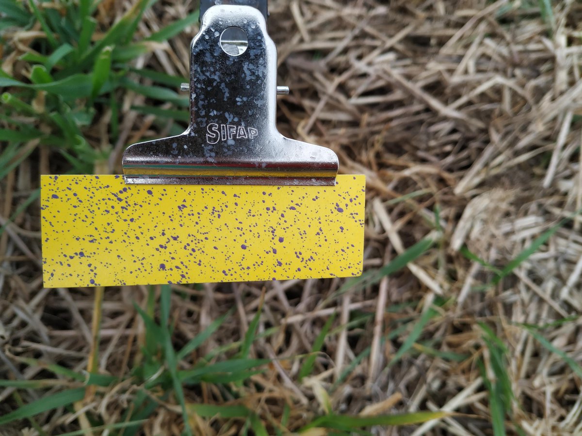 EmilioMoris's tweet image. El tarjeteo, la única herramienta para saber cómo estamos trabajando. Buscamos lograr los impactos mínimos necesarios de acuerdo a c/ situación en particular (Ctura. rastrojo, objetivo, cond. amb., modo acción de los p.a., etc.) #AgroSmart #CalidadDeAplicación