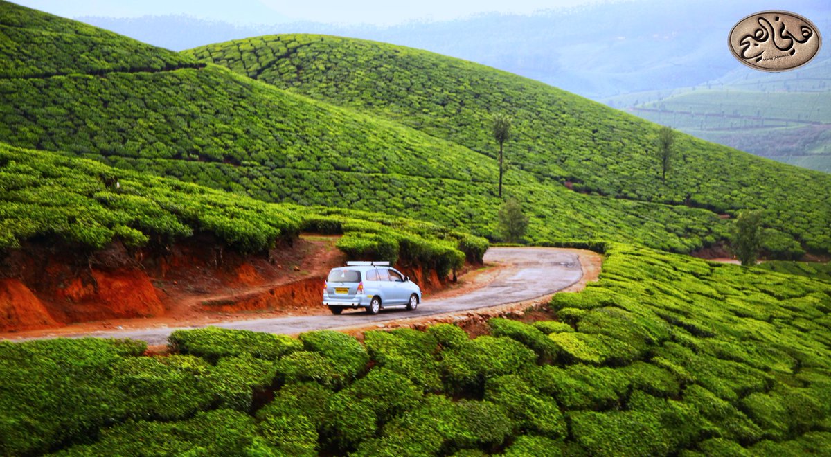 من أجمل التي تشاهدها
في مدينة #مونار 🌲⛈️⛈️⛈️🌲
بولاية #كيرلا #الهند 🇮🇳 🕌 🇮🇳
مناظر مزارع الشاي 🍃🌿🌱🌿🍃
في مشهد بديع و كأنك في حديقة غناء

هنا مدرجات مزارع الشاي
بمدينة مونار في ولاية كيرلا 👇🏼
📸
#بعدستي
#هاني_الصبحي

#كيرلا ❤️
<a href="/KirlaH/">غابة المطر 🌲⛈️ كيرلا ⛈️🌲</a>

.