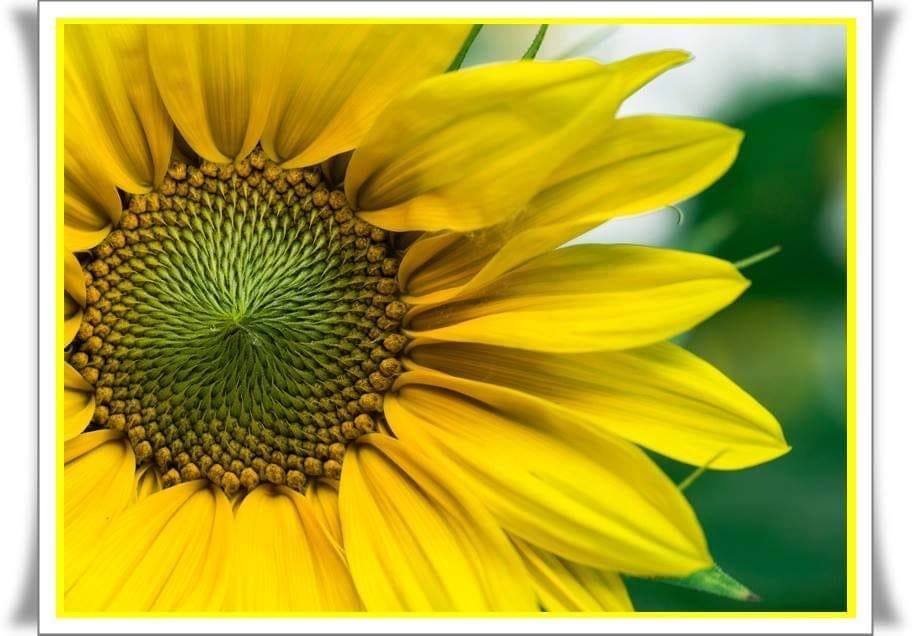 KabbalahInfoPt's tweet photo. Elokim É a Natureza na Gematria
#Natureza #Elokim #Gematria #Kabbalah #Cabala 
https://t.co/Js3VCemJrc https://t.co/phlqxClOL7