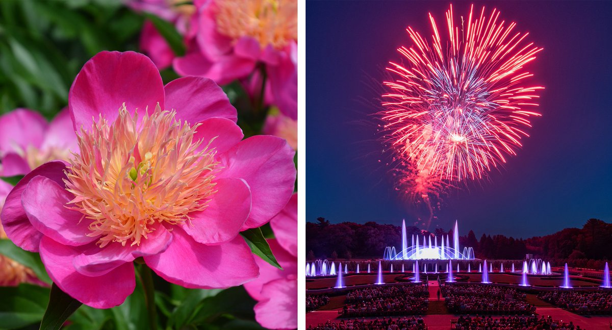 Longwood Gardens On Twitter Fireworks Named After Flowers Seems