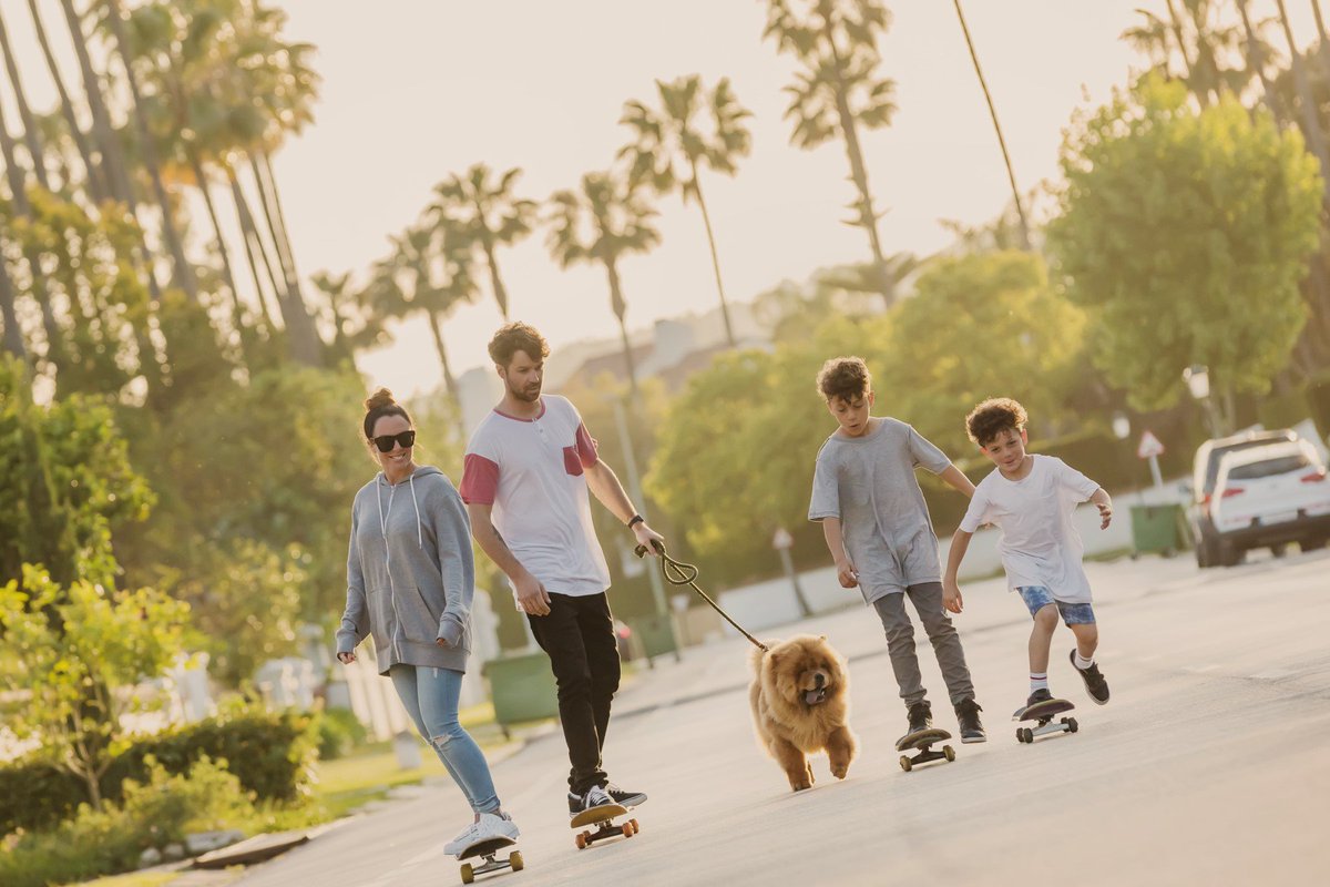 Things to Do and #Sotogrande #Events Happening This #Summer bit.ly/2yquJy0 #August #Concerts #Movies #Festivals #Feria #Gastronomy