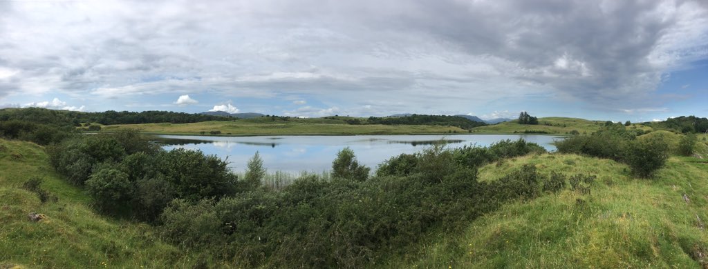 bugsymac1's tweet photo. Absolutely amazing day sampling lochs on Lismore. Found plenty of Horse leeches and Duck leeches but no Medicinal leeches yet. https://t.co/jvh1uh9EOm