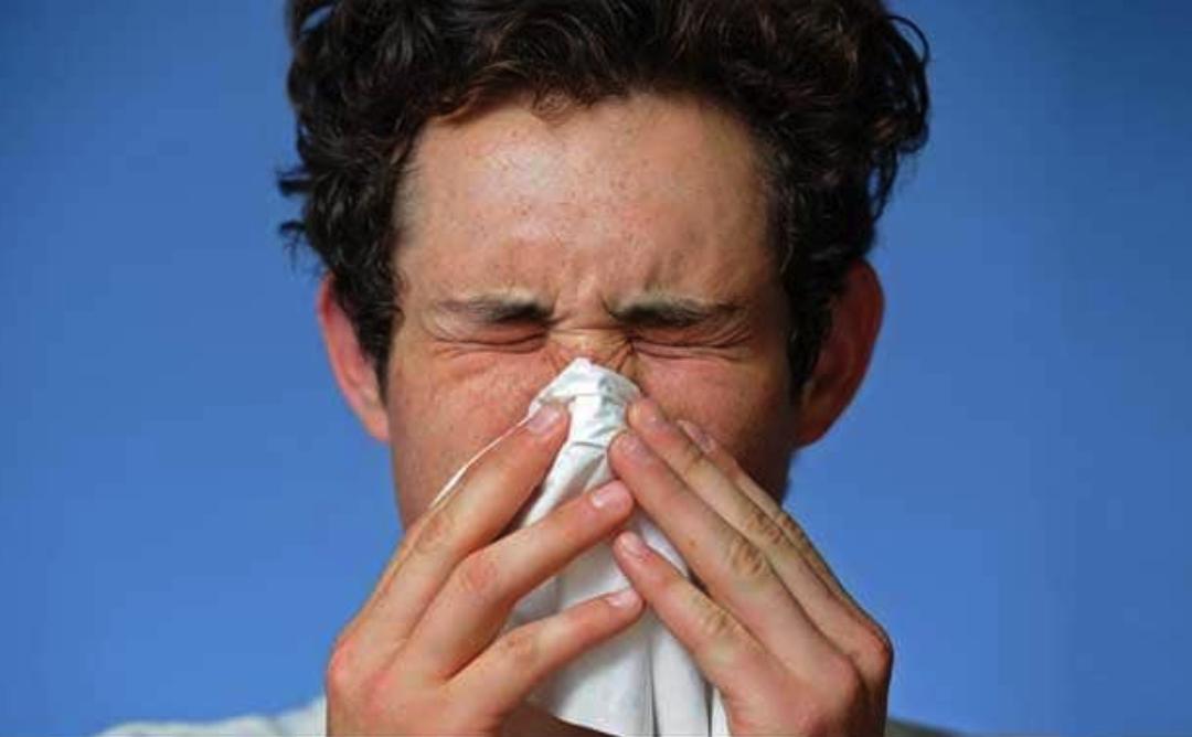 sinusave's tweet image. 6 Steps to Fight Sinus Problems.👃
Check it out! 👉 bit.ly/2HdVMm
#sinus #sinusproblem #nasal #homeremedy #nosecare #healthy