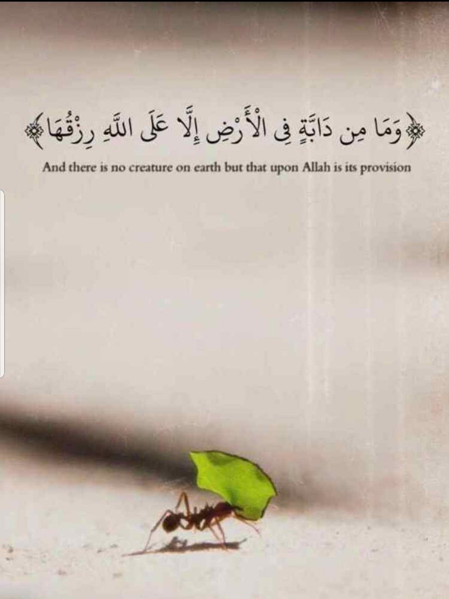 Attiaf22's tweet photo. …
ã https://t.co/OtGddop0sv