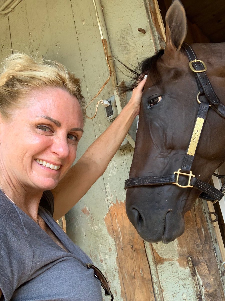 bradcoxracing's tweet photo. Arklow is getting good bye pets from @jmg27_janet from #TeamZilla @DonegalRacing Arklow is waiting for his #TexSutton https://t.co/7OmkGY5mz3