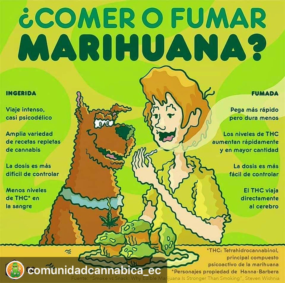 Decir que el cannabis es una droga es como decirle droga al orégano o a la ayahuasca y sin embargo se venden de forma libre, así como el azúcar, el café, el alcohol, el tabaco que sí te matan pero son legales. #FamiliasQueCultivan