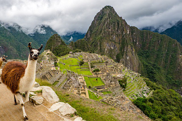 muchosviajes's tweet photo. FIN DE AÑO EN PERÚ
RESERVAS: https://t.co/RSs91Y0OxY
viaje de 9 Días
desde 2.143 € 
Salidas desde:
Madrid https://t.co/qzKHnrpCF1