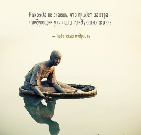 Татьяна Бородина (@ribo4kast) on Twitter photo 