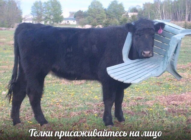 EAvCZYuWwAMz0ym?format=jpg&name=small