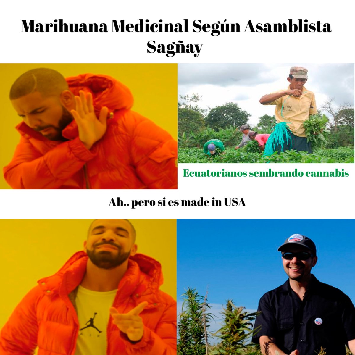 LolipopLolipopy's tweet photo. lo que yo pienso cuando me dicen que no estamos preparados para cultivar cannabis
#YNQTG
#CultivaMedicina #FamiliasQueCultivan #SagñayEngaña https://t.co/DHagQspNV4