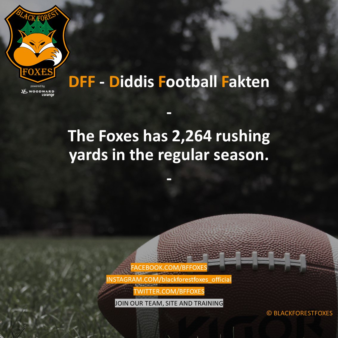 bffoxes's tweet photo. #dff #diddisfootballfakten #foxes #blackforestfoxes #woodward #lorange #BlackForestBrotherhood #rannfl #rannflsüchtig #nfl #gfl #eaglesherrenberg #eaglescheerleader #offense #defense #specialteams #footballalive #football #americanfootball #superbowl #footballfacts https://t.co/RS22wBPR5b