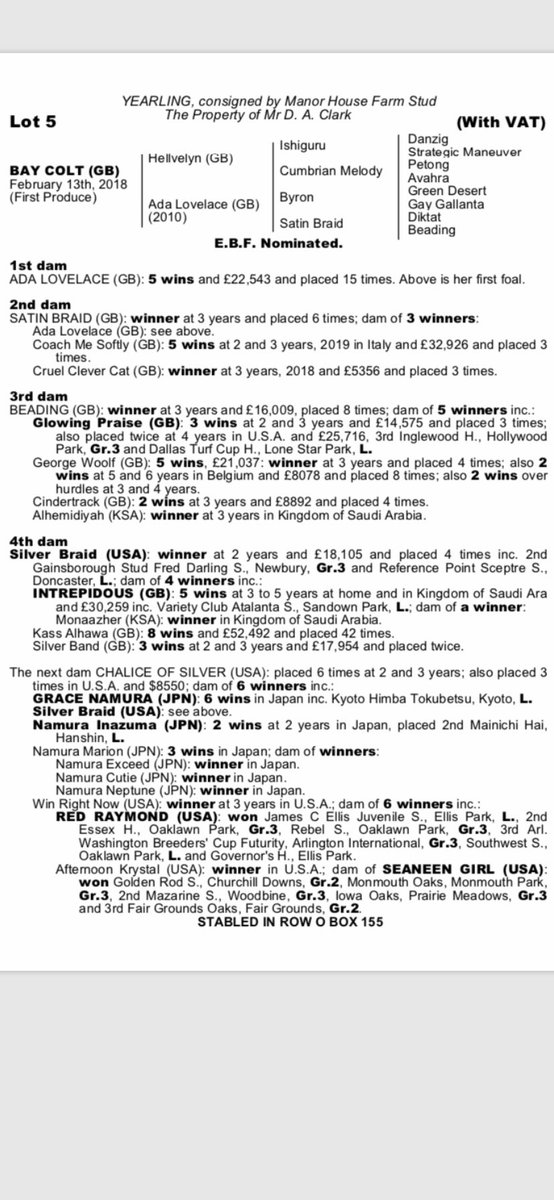 Donolphin31's tweet image. Lot 5 - First Foal from 5 time winner over 5F and 6F, Ada Lovelace- @tattsascot Yearling Sale 10th September 2019