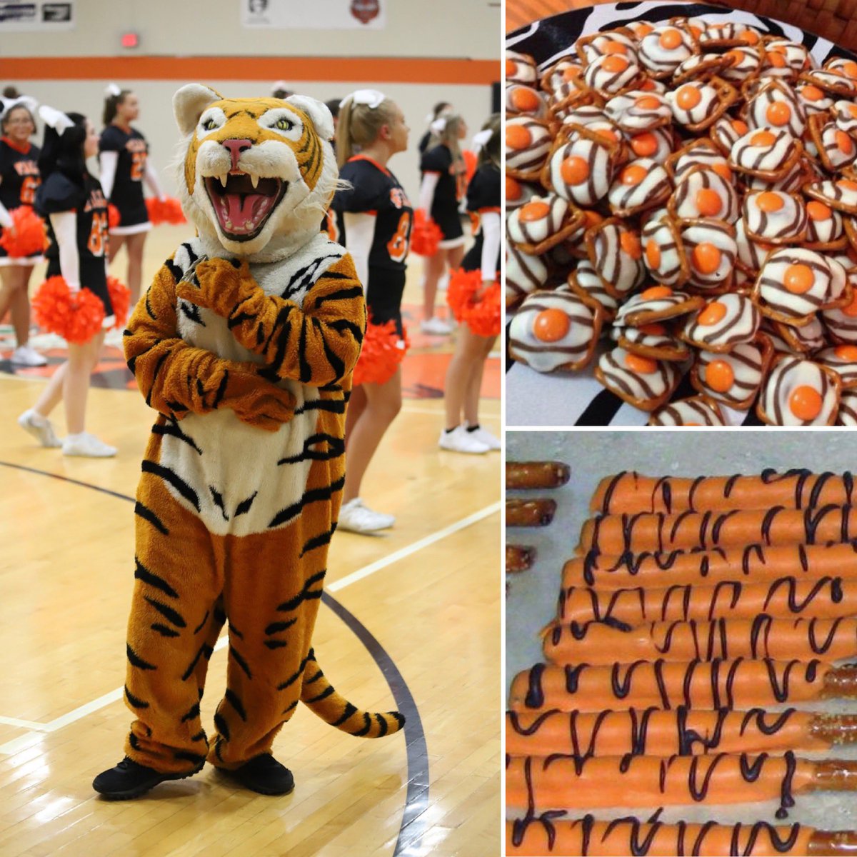 NFTigerCheer's tweet photo. Yesterday was National Mascot Day and we have had some fantastic mascots! 
Our current mascot uniform needs replaced so the girls will be selling Tiger Snacks at all the events this year to help raise money, Be on the lookout for these delicious snacks 🧡🖤 #nftigerpride https://t.co/OMpSY96ZLy