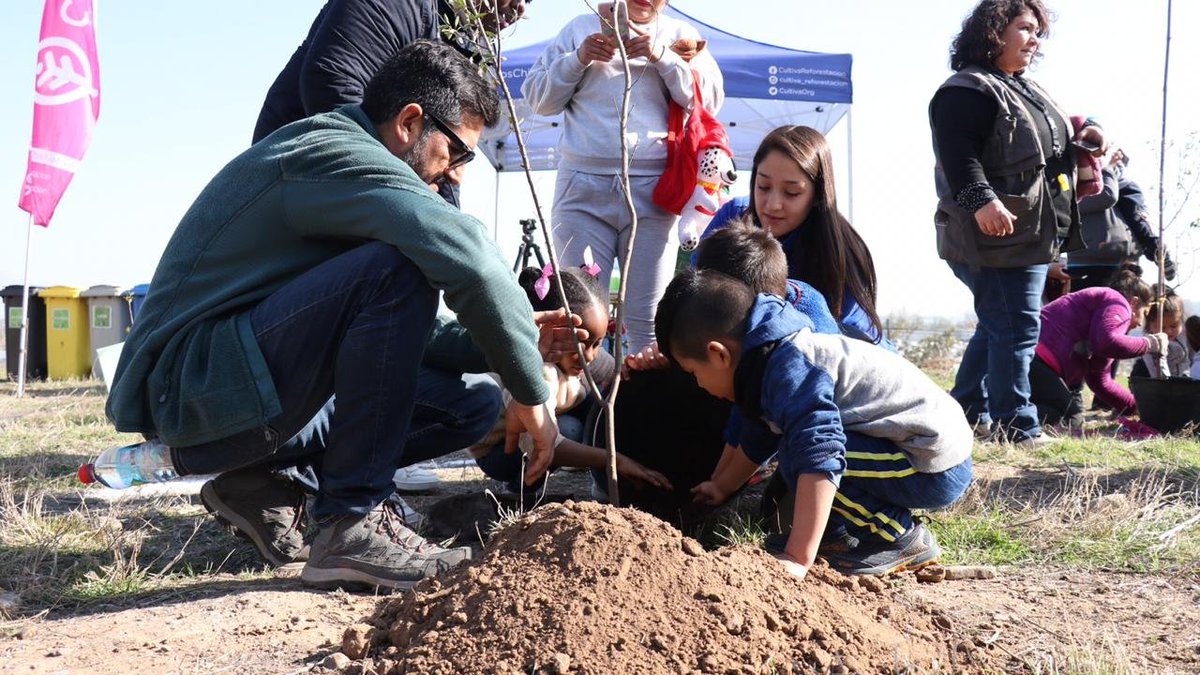 📣¡REALIZAMOS VOLUNTARIADO DE PLANTACIÓN PARA BOSQUE URBANO QUILICURA!🌳Participaron quilicuranas y quilicuranos de diversos sectores, también niños de nuestros jardines infantiles Hogar de Cristo Raúl Silva Henríquez, Mi Rayito de Alegría y Sembradores del Futuro. 💟🧒👧