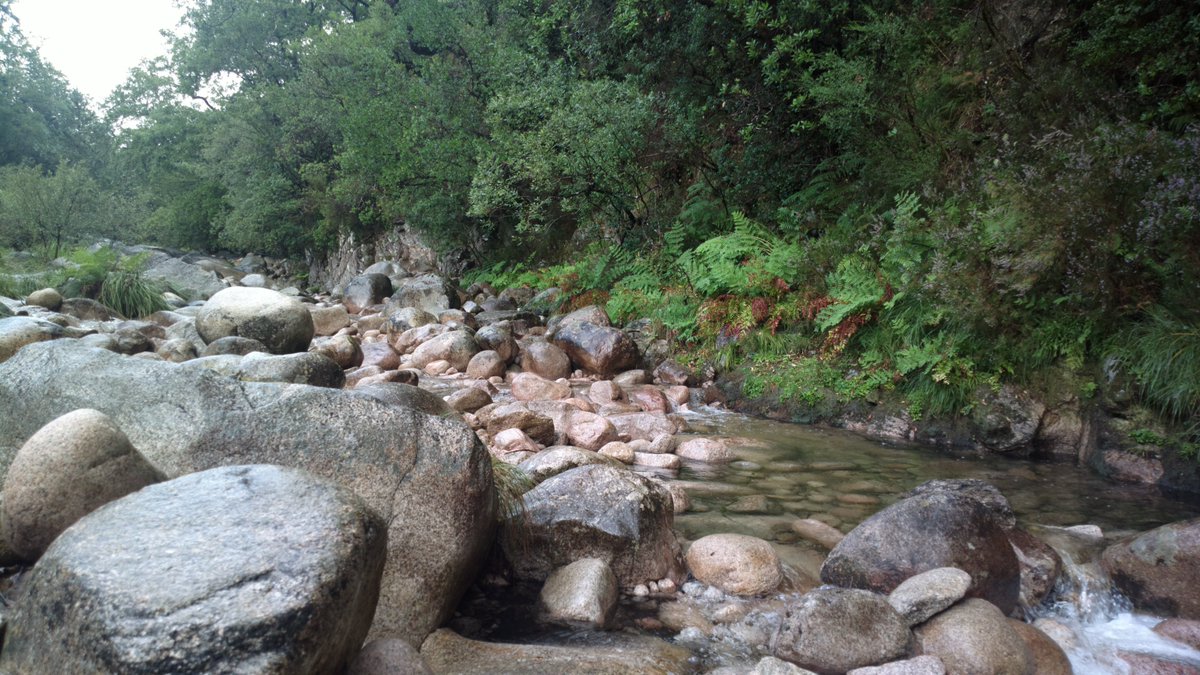 diana_therose's tweet photo. #river #rio #riverrocks #MatadaAlbergaria #geira #romantrail #terrasdebouro #serradogerês #Gerês #GerêsNationalPark #ParqueNacionaldaPenedaGerês #PNPG #Portugal #Europe #travelphotography #trip #travel #traveling #travelgirl #lifestyle #adventure #nature #naturelovers #mountains https://t.co/M0R197rcCi