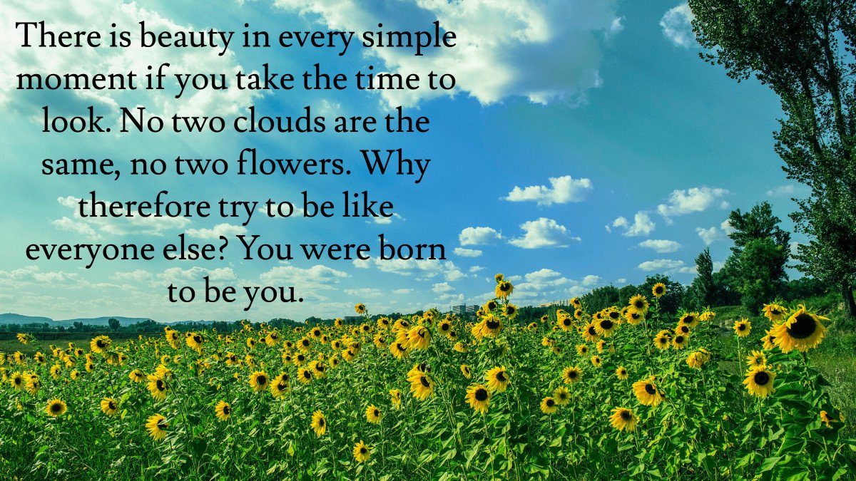 A little something I just wrote for anyone who may be feeling a bit down. #nature #life #mindfulness