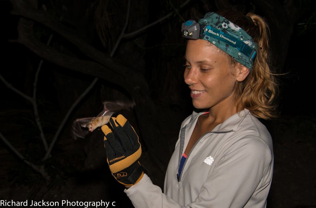 mammalzpbc's tweet image. Jaclyn Aliperti @jraliperti is a #wildlife #ecologist, #sciencecommunicator, and #filmmaker who is finishing her PhD in Ecology at #UCDavis. She has studied mammal behavior across the globe. Follow her on #Mammalz when we launch this Fall to see what she discovers #wearemammalz