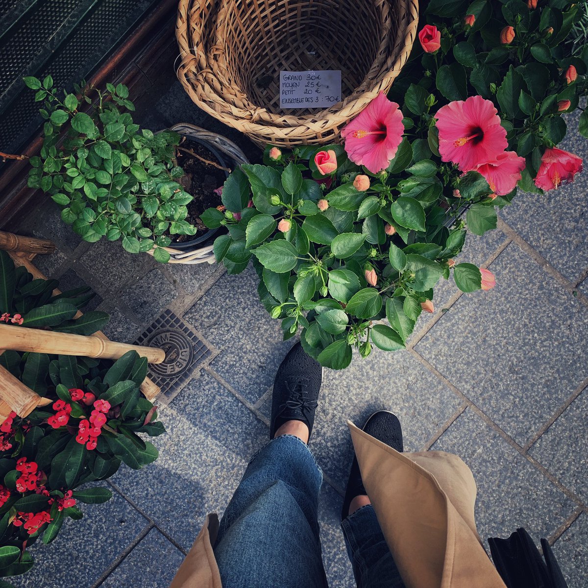 ZThuwaini's tweet photo. أينما أنبتك الله أزهر 🌸🌺🍃 https://t.co/9M4eTTAuDQ