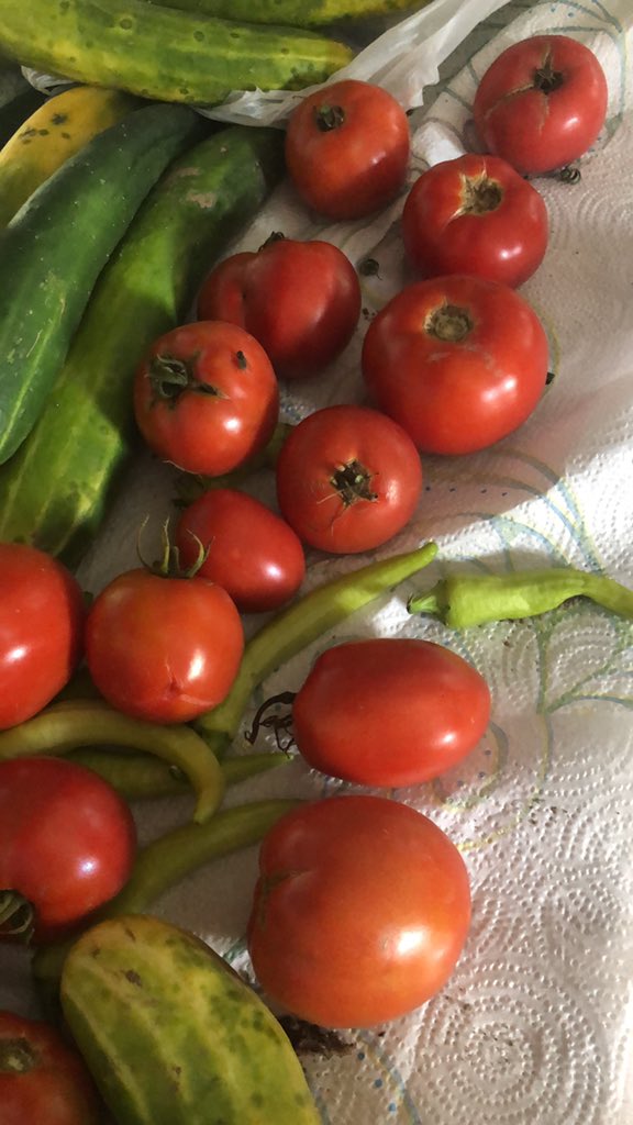 Big John's Garden (Bigjohnsgarden) Twitter