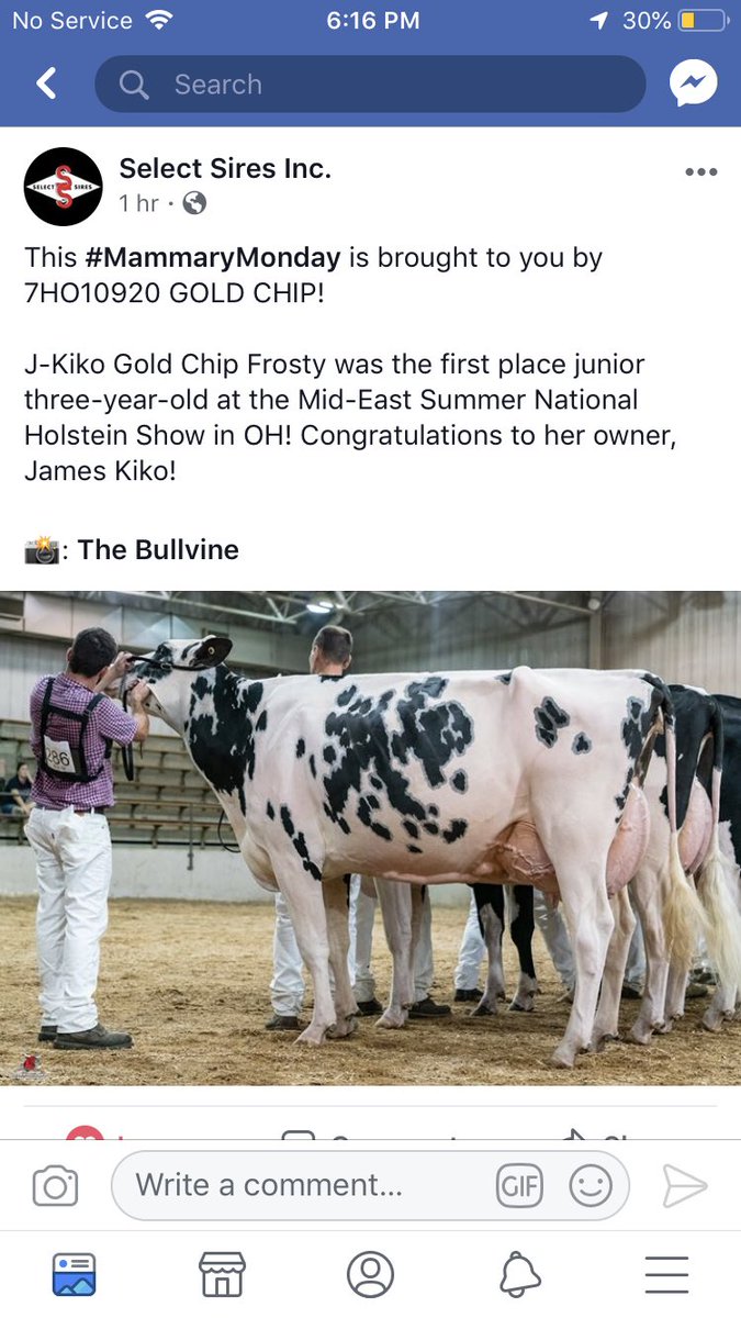 EvanKiko1's tweet photo. To all the people that said go back to school and why would you want to milk cows the rest of your life... Here it is! The last 4.5 years have been nothing but truly amazing and watching what our herd has done in that little time! Excited for the next 5! https://t.co/8DHyTEv5j3