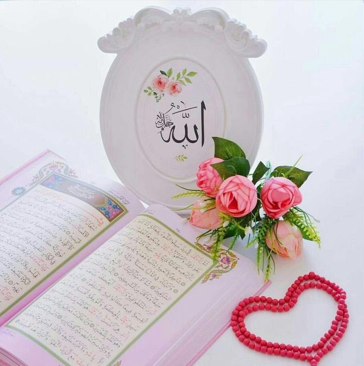ab200195's tweet photo. ردِّدوها سبعاً تكفيكم عناء الدنيا:
 حسبي الله لا إله إلا هو عليه توكلت و هو رب العرش العظيم. https://t.co/cyVAFPvpxt
