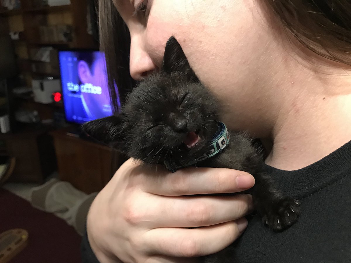 HadleyMeisha's tweet photo. Here’s to the beginning of the cat chronicles. #CatMom https://t.co/lnsjAAkx5S