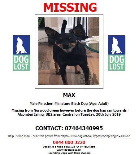 DogLostUK's tweet photo. #LOST #DOG MAX
Male #Pinscher miniature Black Adult
#Missing from #NorwoodGreen However before the dog has ran towards #Alcombe #Ealing #UB2
Tuesday 30th July 2019
#LostDog @SAMPAuk_ @VetsGetScanning
https://t.co/lqhNq1tk6P https://t.co/Y5KE3ljhBk