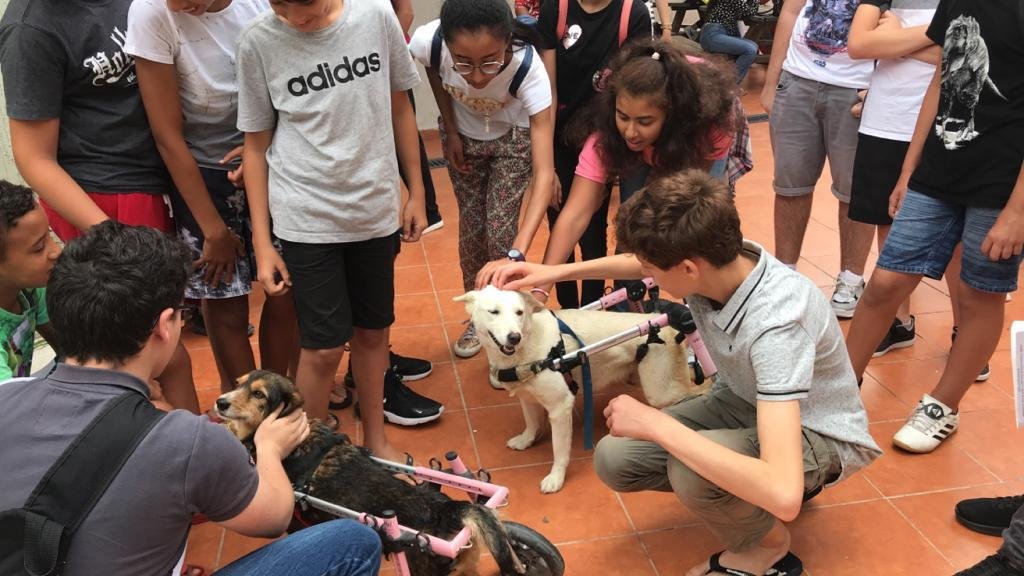 SIST British Education tweet media