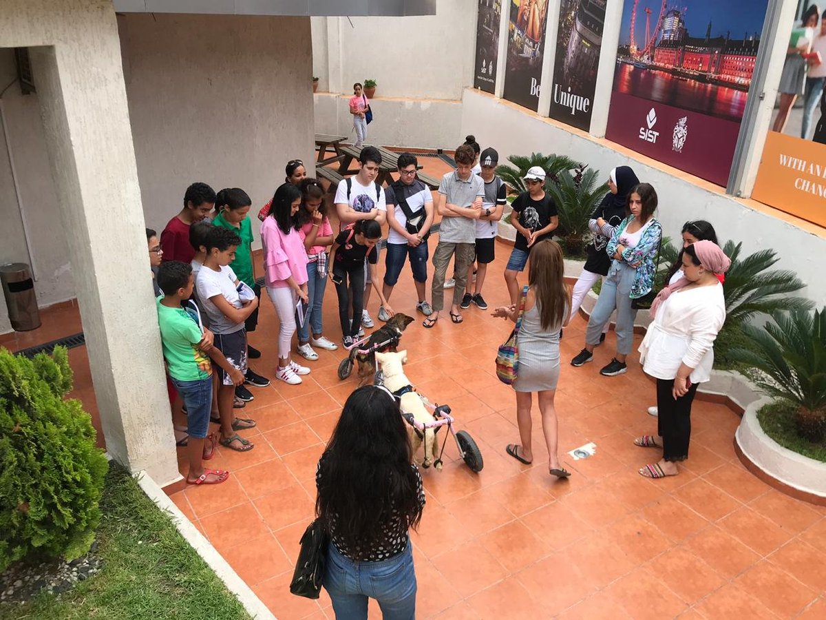 SIST British Education tweet media