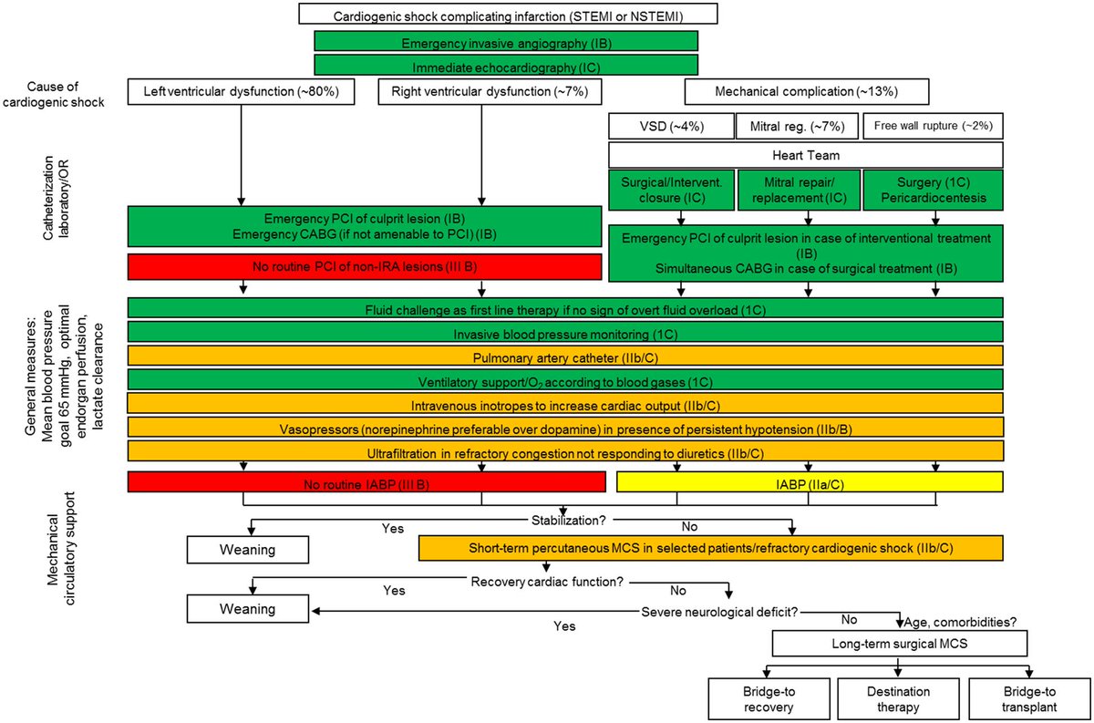 One of the best MI #cardiogenicshock management slides I have seen from Holger Thiele that incorporates evidence based guidelines into an algorithm.  Not a single Class Ia recommendation and only revascularization is class Ib. This highlight how much more research is needed!