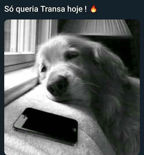GarotoRj2's tweet photo. É pedir muito?rs https://t.co/cixvUbqbyn