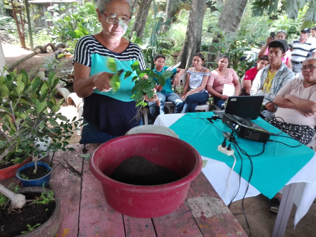 MinEmpren's tweet photo. #JuliodePazyVictoria
Participación activa de emprendedoras de Chinandega sobre producción y cultivo de Bonsái https://t.co/AYEKVd1IMc